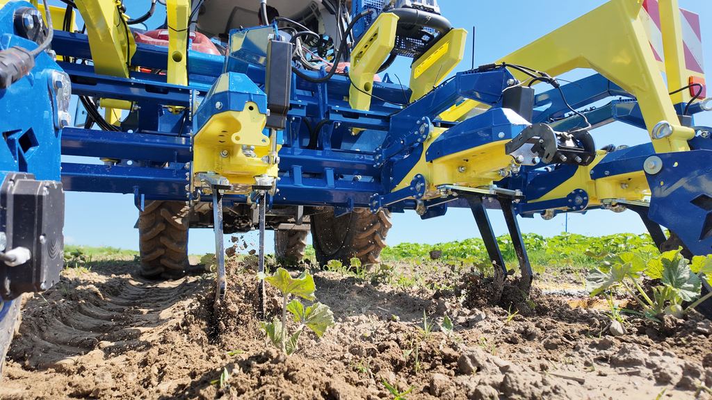 In-row weeder with AROW between and inside the crop rows