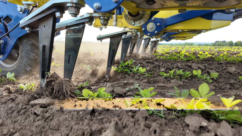 In-row blades working close to the crop plant