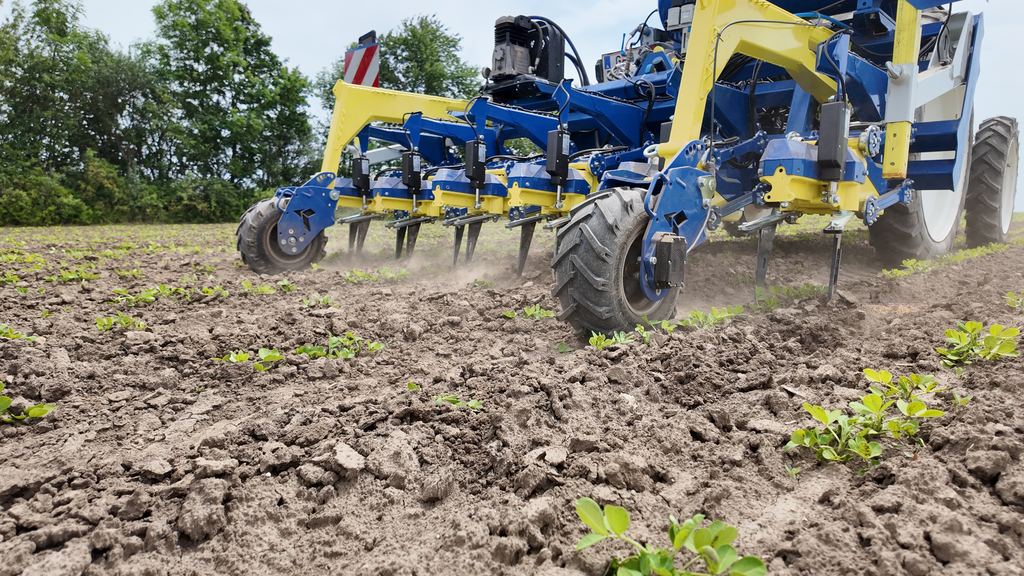AI in-row weeder with the AROW box inside, in a sugar beet field